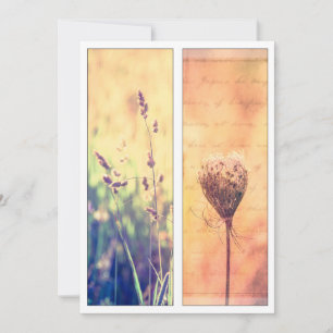 Carte Summer Nature Art Signet