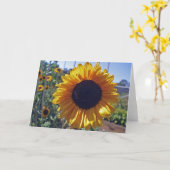 CARTE SUN (Fleur jaune)