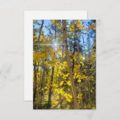 Carte Sun Aspen (Devant / Derrière)