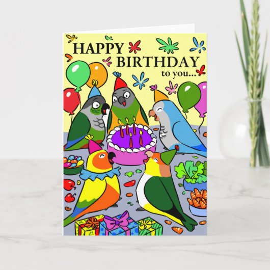 Carte sun conure gcc quaker caique sénegal perroquet heu (Devant)