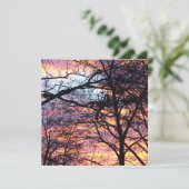 Carte Sun Rise (Debout devant)