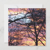 Carte Sun Rise (Dos)