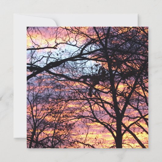 Carte Sun Rise (Dos)