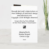 Carte Sun Through (Dos)