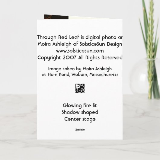 Carte Sun Through (Dos)