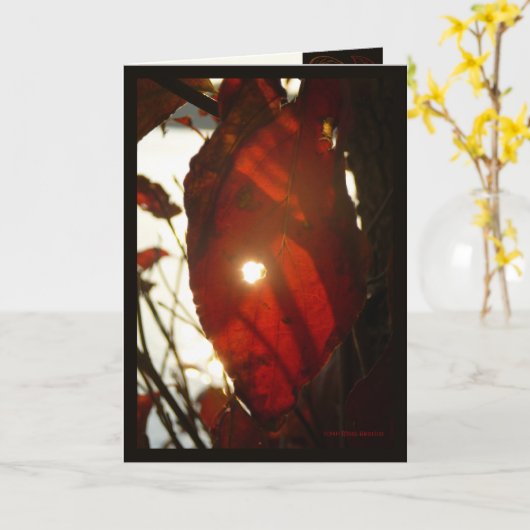 Carte Sun Through (Fleur jaune)