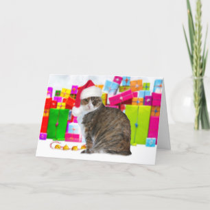Carte Sundae, le chat de Noël