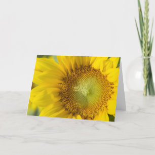 Carte Sunflower