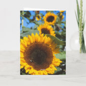 Carte Sunflower (Dos)