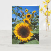 Carte Sunflower (Fleur jaune)