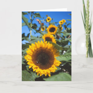 Carte Sunflower