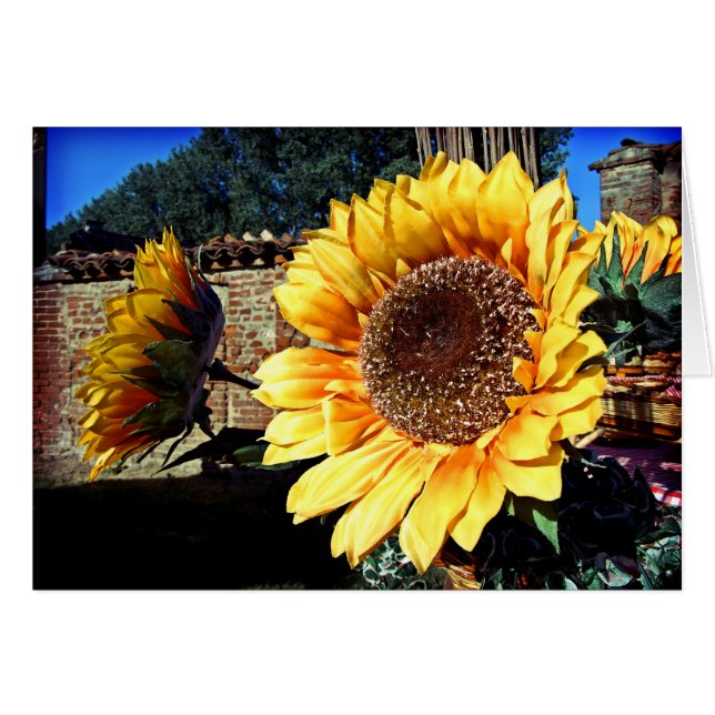 Carte Sunflower (Devant horizontal)