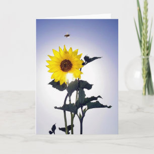Carte Sunflower & Bee