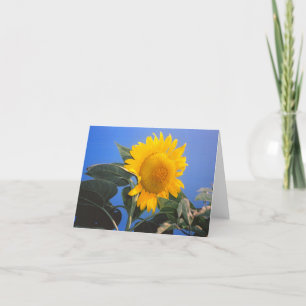 Carte Sunflower Blue Sky