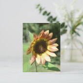 Carte Sunflower de septembre (Debout devant)