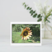Carte Sunflower de septembre (Debout devant)