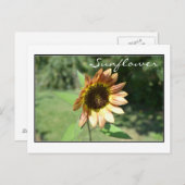 Carte Sunflower de septembre (Devant / Derrière)