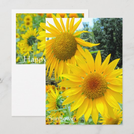 Carte Sunflower:Flat Greeting Card (Devant / Derrière)