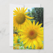 Carte Sunflower:Flat Greeting Card (Devant)