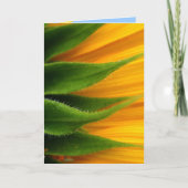 Carte Sunflower Get Well Card (Devant)