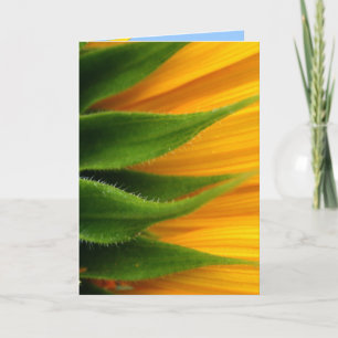 Carte Sunflower Get Well Card