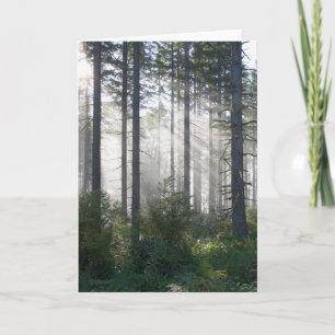 Carte Sunlight Breaking Through a Misty Forest