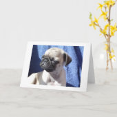 Carte sunning pugs (Fleur jaune)