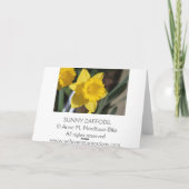 Carte Sunny Daffodil (Dos)