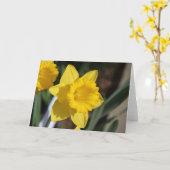 Carte Sunny Daffodil (Fleur jaune)