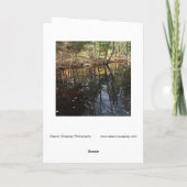 Carte "Sunny Fall Day" Adirondack Forest and Trees Scene (Dos)