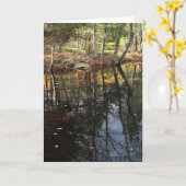 Carte "Sunny Fall Day" Adirondack Forest and Trees Scene (Fleur jaune)