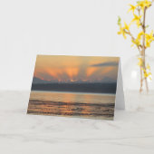 Carte Sunrays Sunrise (Fleur jaune)
