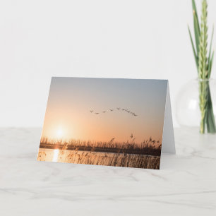 Carte Sunrise Paysage Photo Nature