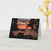 Carte Sunrise Sur Freycinet Np (Fleur jaune)