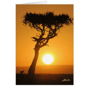 Carte Sunset