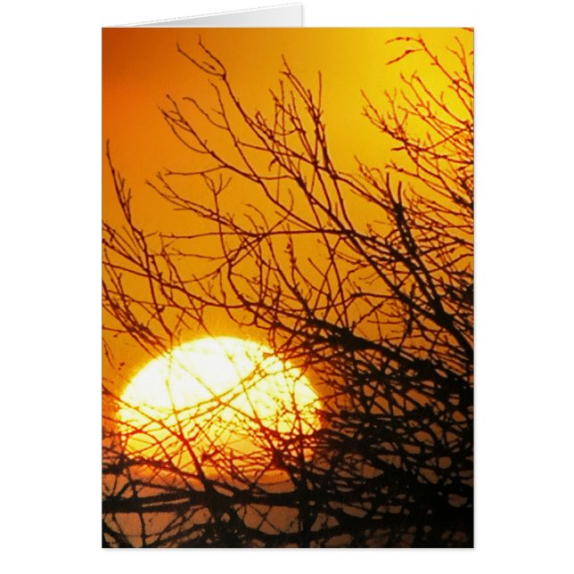 Carte Sunset Delights (Devant)