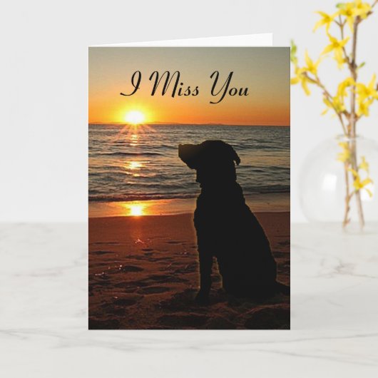 Carte Sunset Dog on Beach - Miss You Card (Fleur jaune)