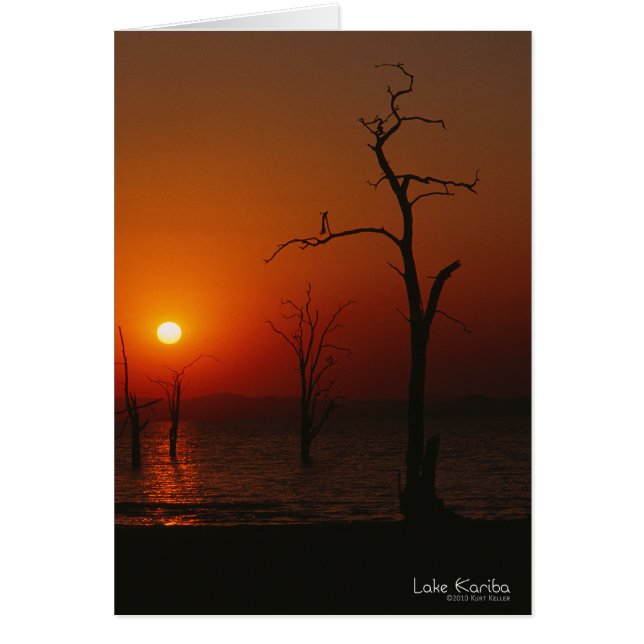 Carte Sunset du lac Kariba (Devant)