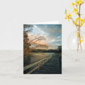 Carte Sunset Glow on Pier notecards (Fleur jaune)