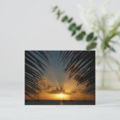 Carte Sunset Through Palm Fronds (Debout devant)
