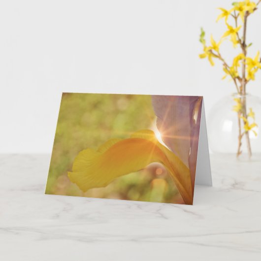 Carte Sunshine and Iris Scripture Card Psaume 84:11 (Fleur jaune)