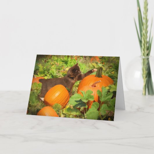 Carte Super Cute Kitten en Citrouille Patch Halloween (Devant)