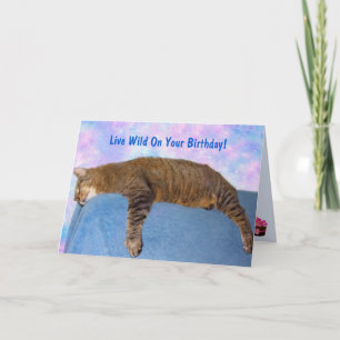 Carte Super Lazy Party Chat Anniversaire