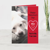 Carte Super mignon Valentine's Day Chien Chien Blanc Chi (Devant)