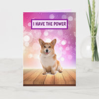 Super star Corgi va bien