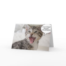 Super surpris Kitten d'anniversaire!