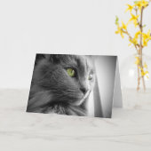 Carte Superbe chat gris bleu avec yeux verts - blanc (Fleur jaune)
