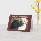 CARTE SUPPLIER DES TRAITEMENTS BIENTÔT VOEUX DE BONNE SA (Fleur jaune)