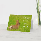 Carte Support pour le cancer du lapin mignon (Devant)
