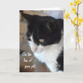 Carte Sur la perte de votre animal de compagnie-Chat ave (Fleur jaune)